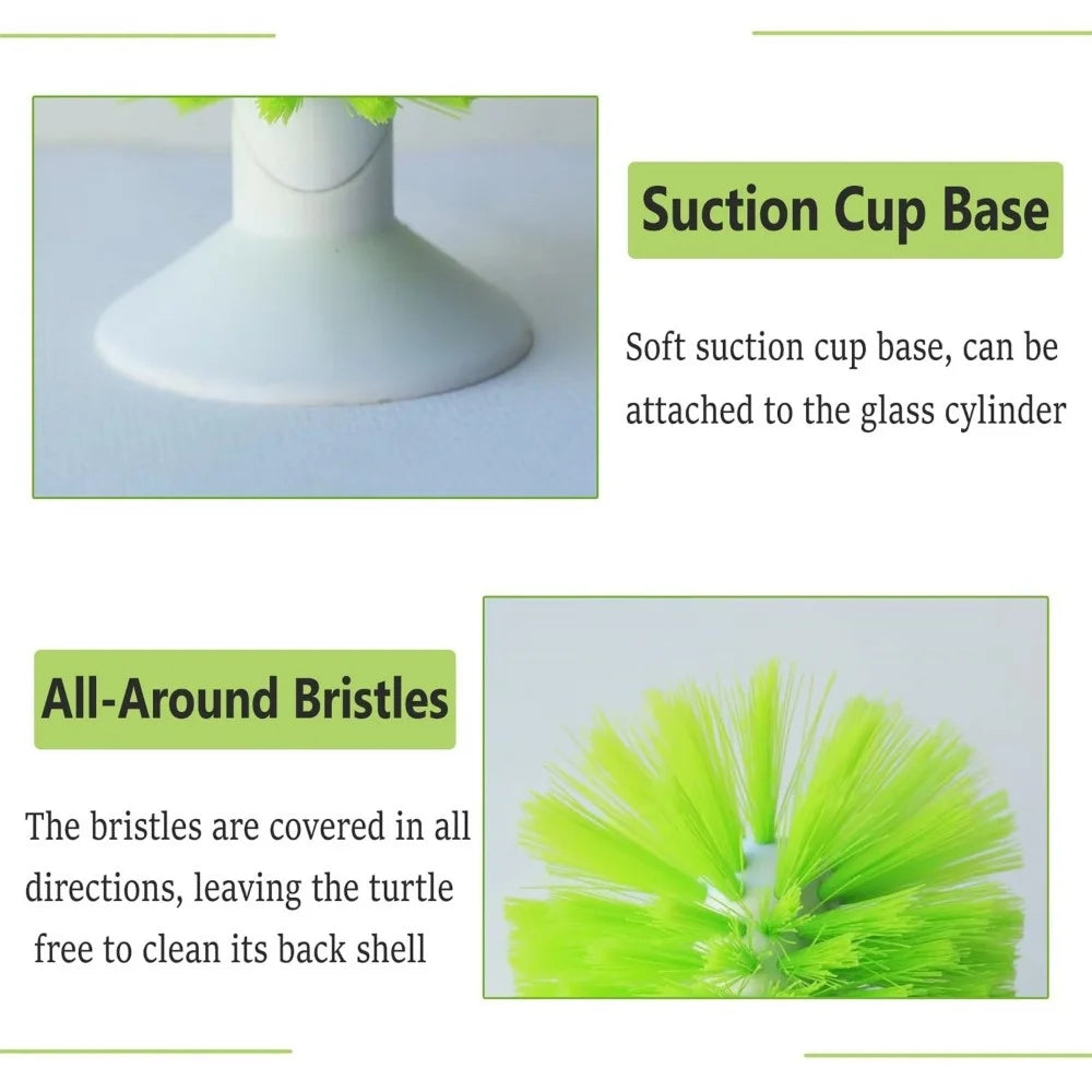 Turtle Shell Cleaning Brush