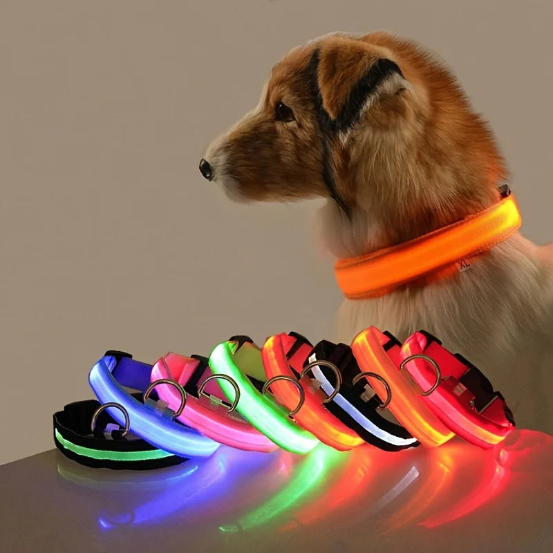 LED Dog Safety Collar — Rechargeable Night Visibility
