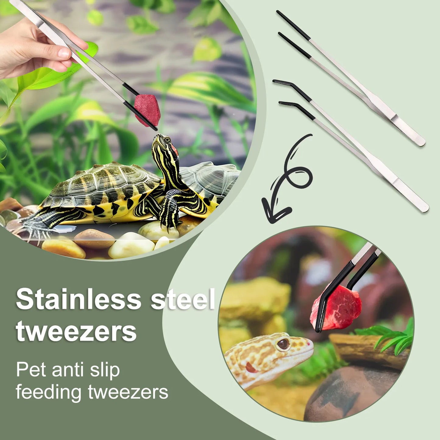 Reptile Feeding Tongs — Stainless Steel Long Tweezers for Lizards, Snakes & Spiders