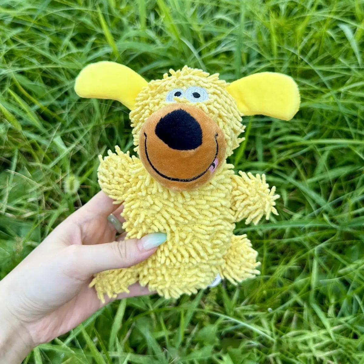 Dog Plush Squeaky Toy Set