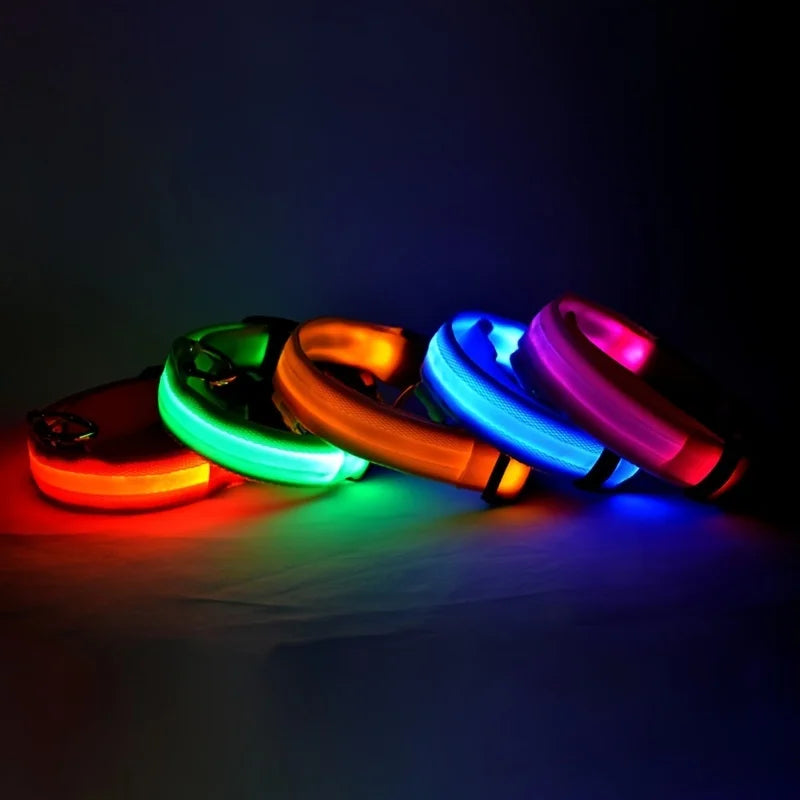 LED Dog Safety Collar — Rechargeable Night Visibility