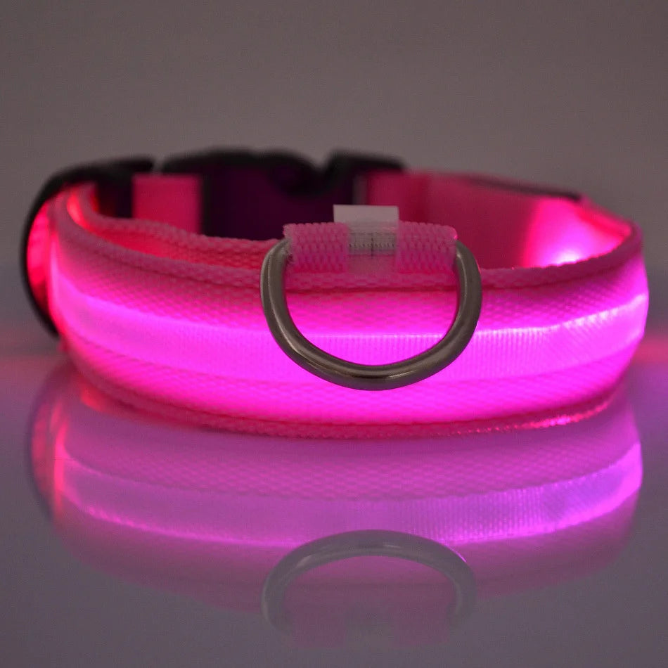 LED Dog Safety Collar — Rechargeable Night Visibility