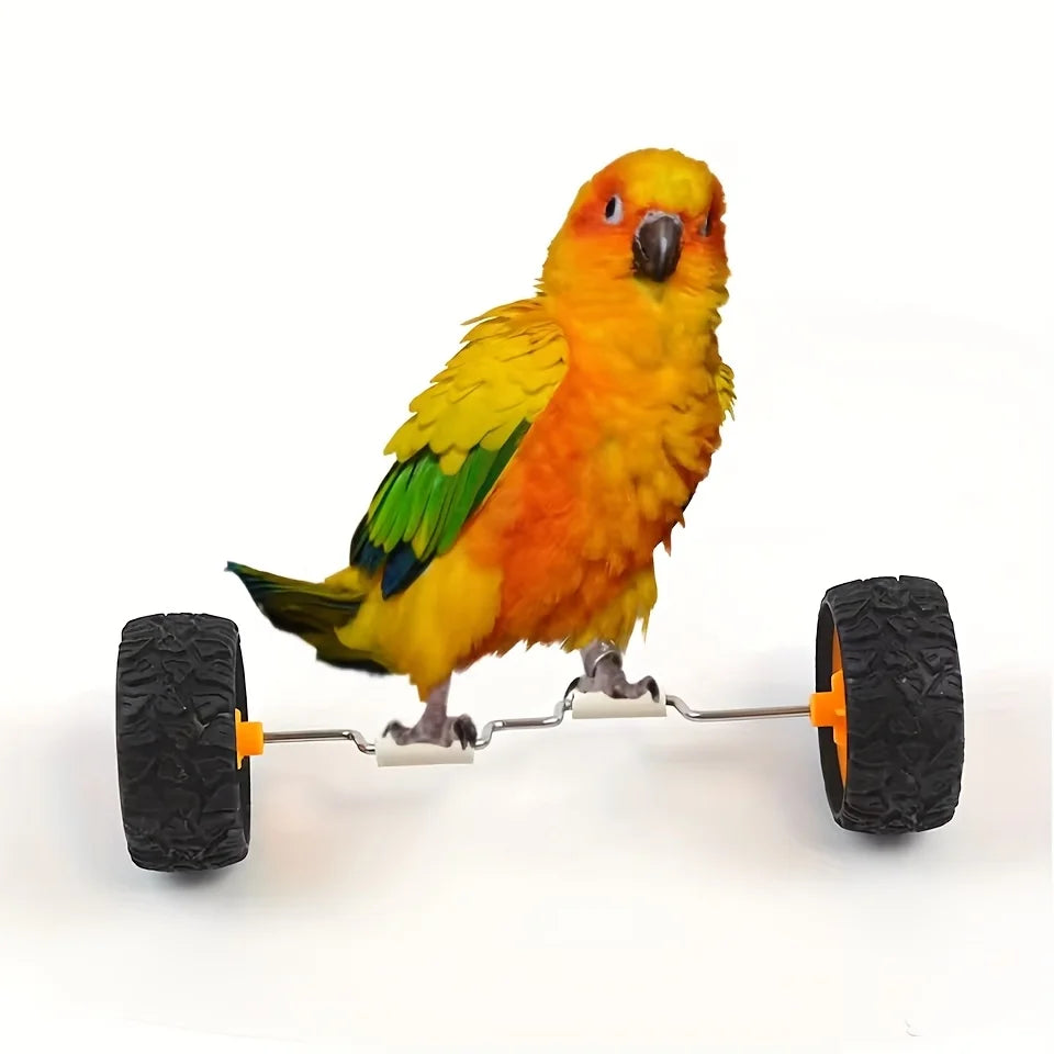 Parrot Balance Mini Bicycle Toy