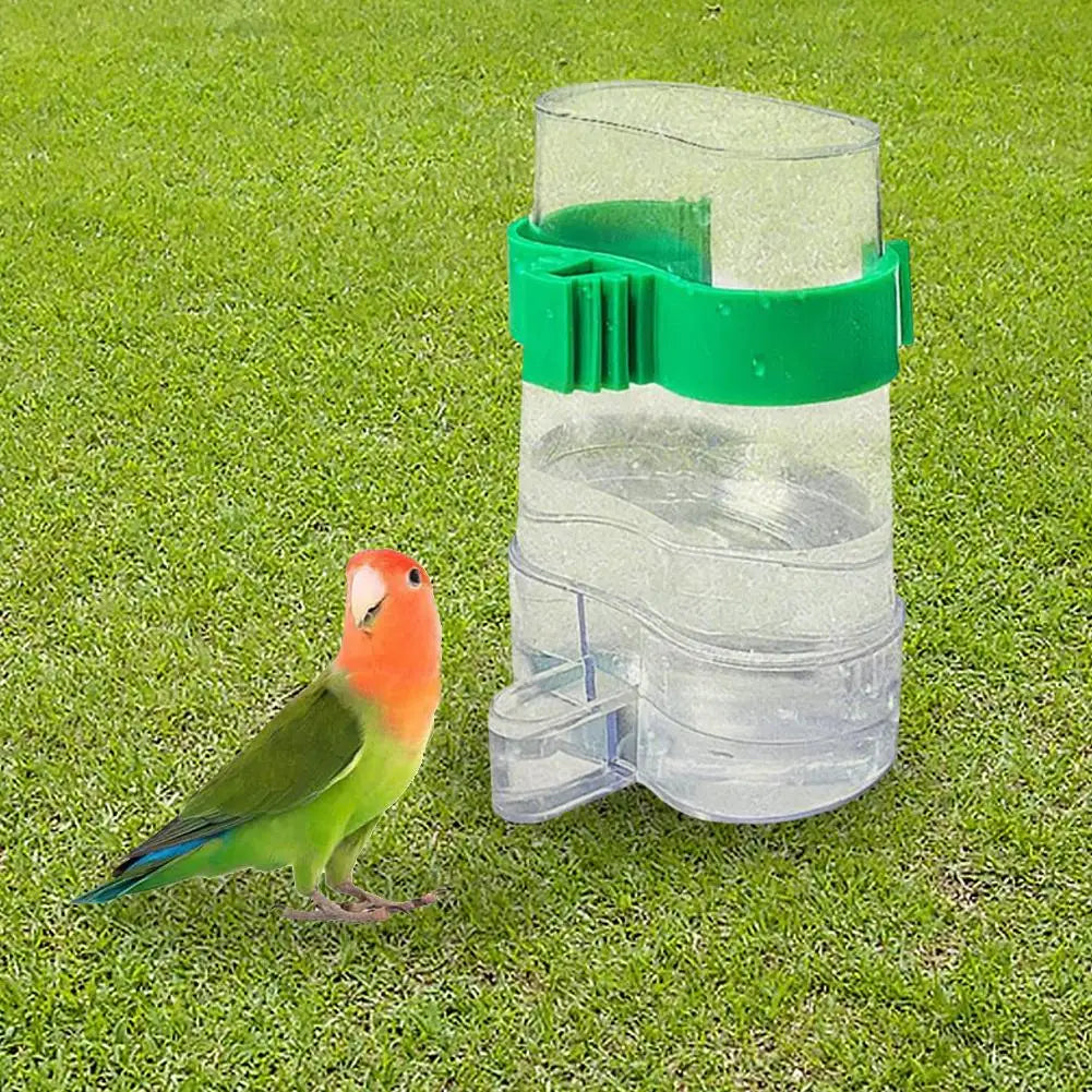 Automatic Bird Water Dispenser
