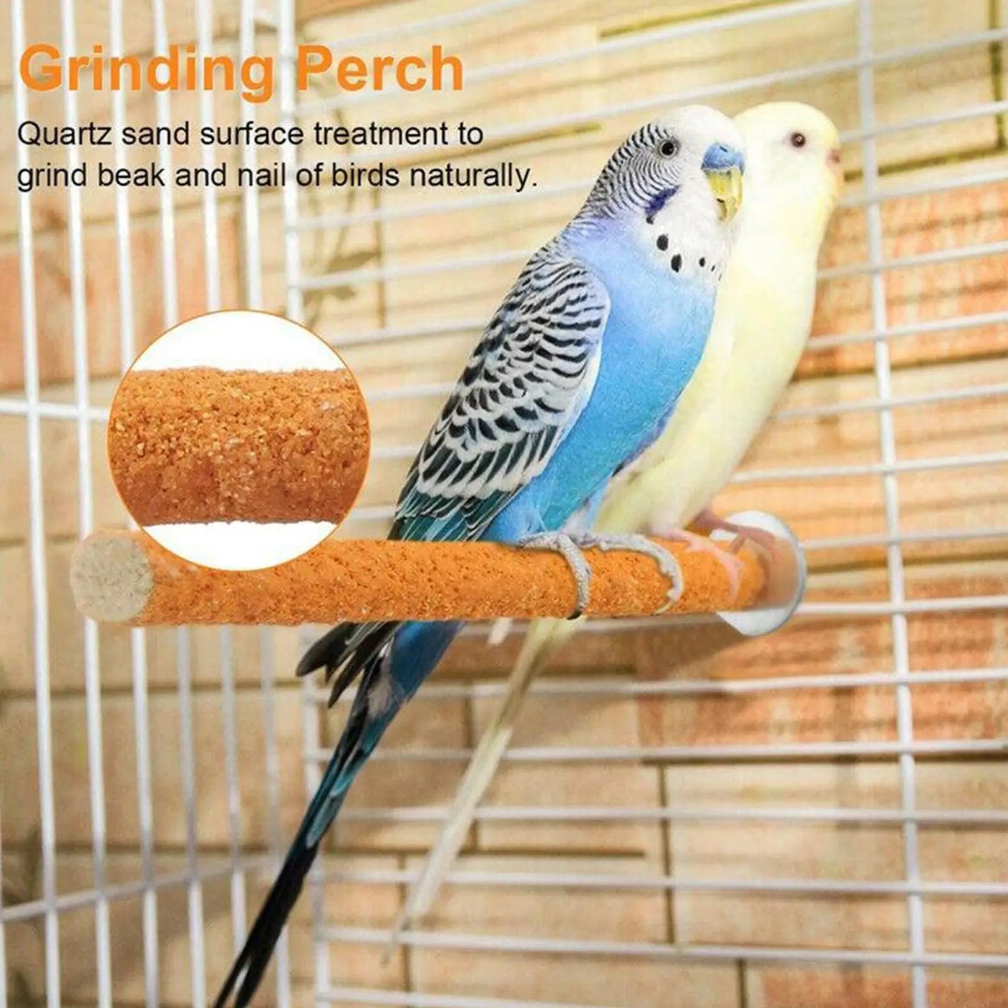 Bird Paw Grinding Perch — Natural Nail Trimmer