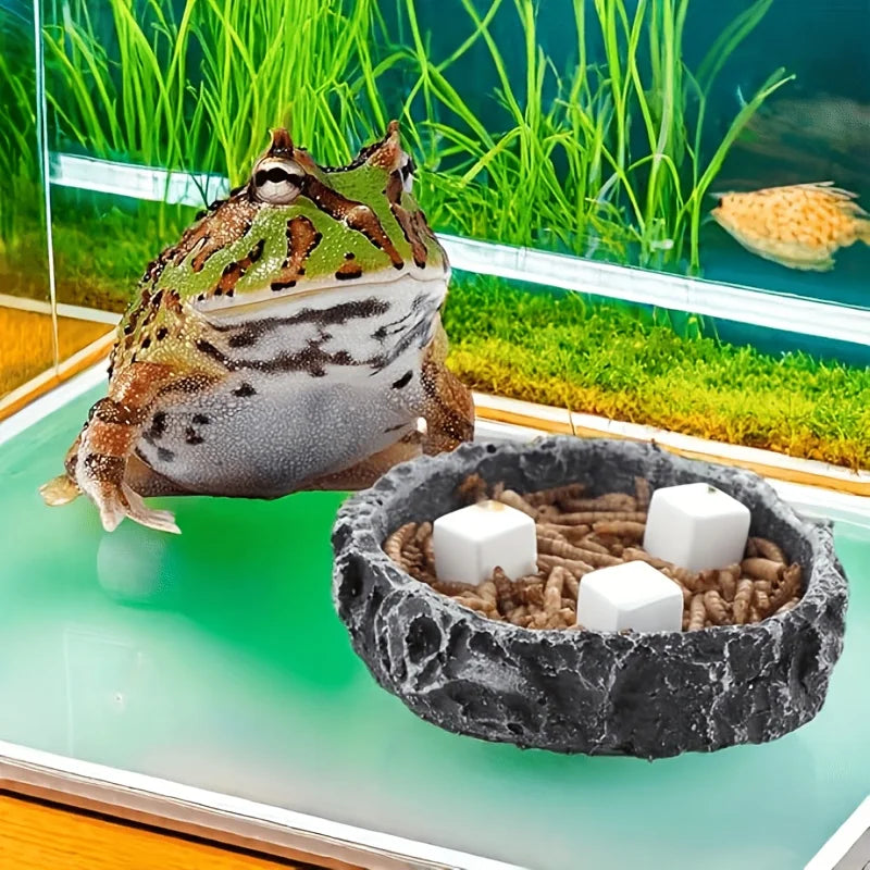 Reptile Calcium Mineral Blocks