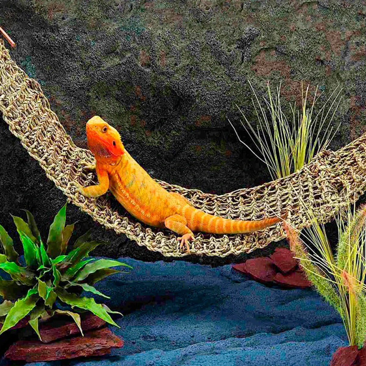 Reptile Hammock Lounger