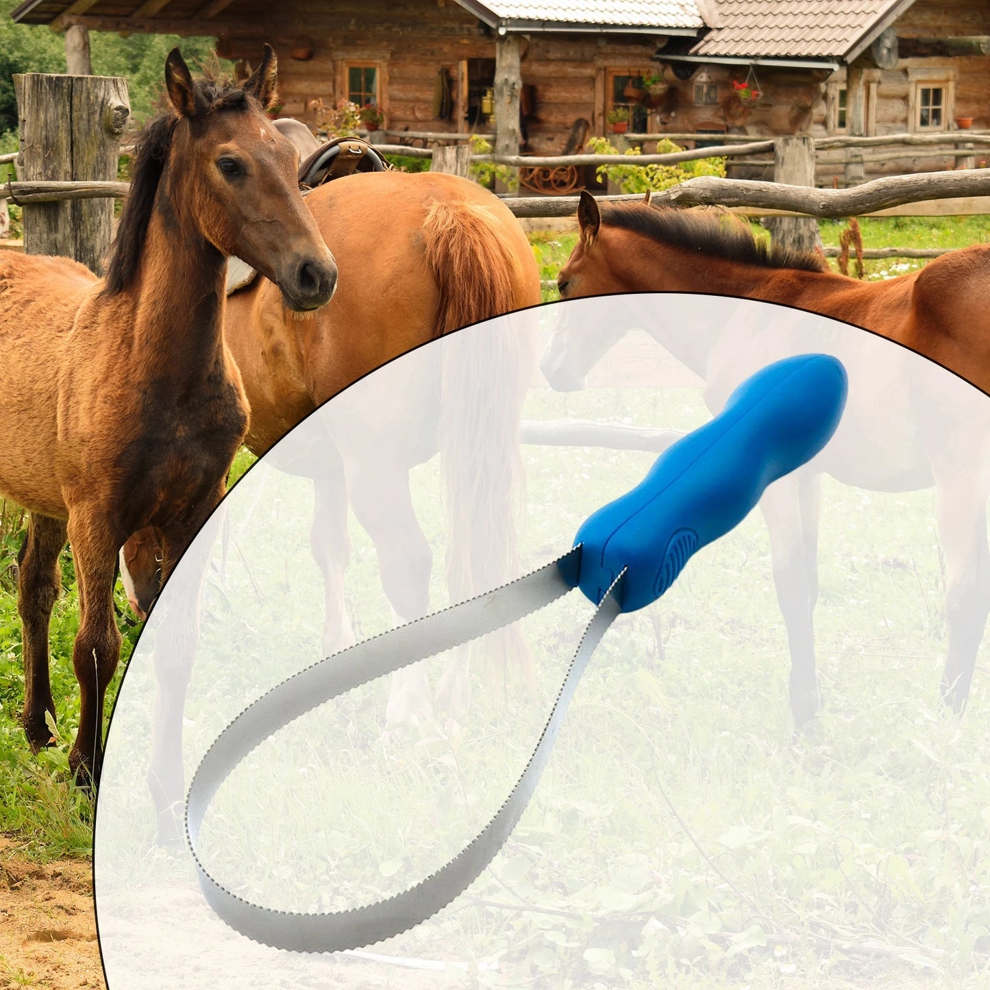 Horse Curry Comb — Equestrian Grooming Brush and Sweat Scraper