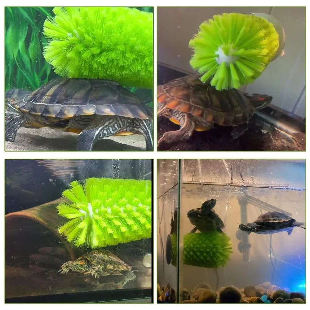 Turtle Shell Cleaning Brush