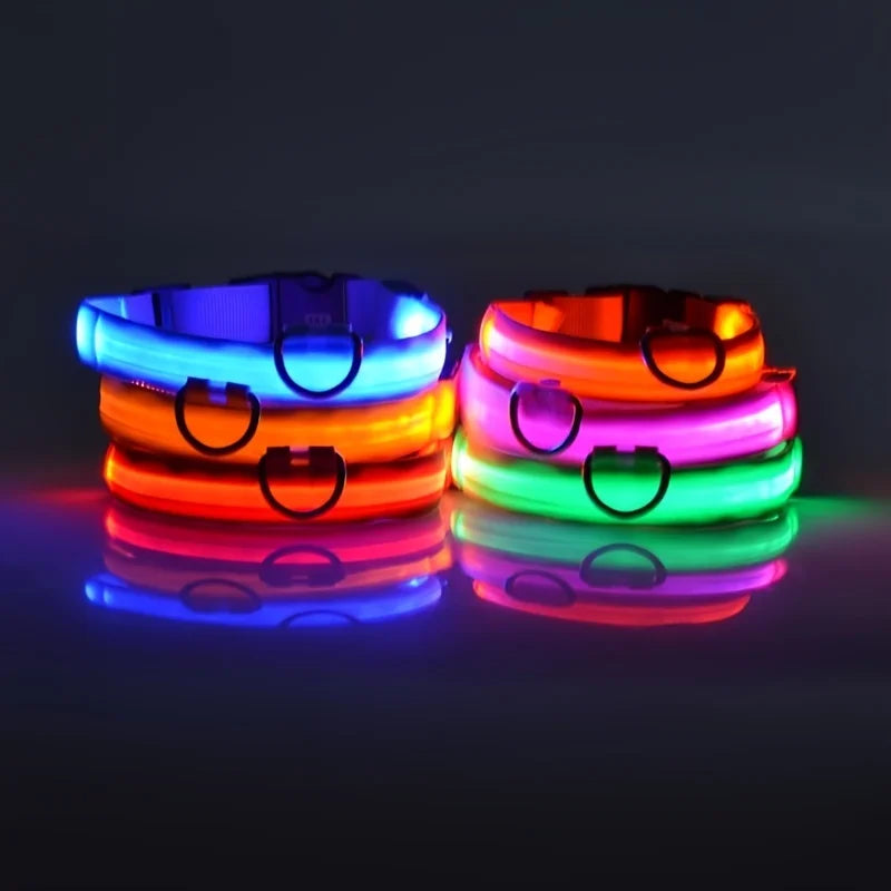 LED Dog Safety Collar — Rechargeable Night Visibility