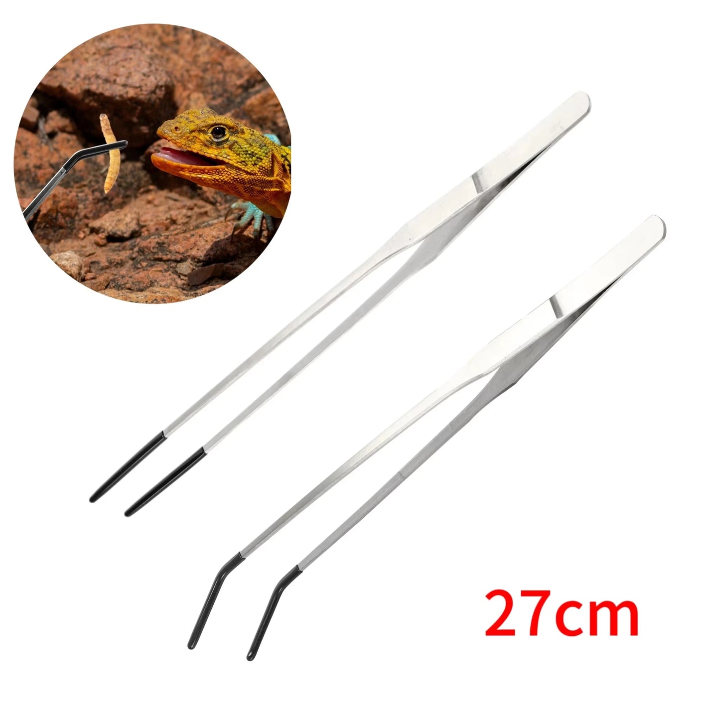 Reptile Feeding Tongs — Stainless Steel Long Tweezers for Lizards, Snakes & Spiders