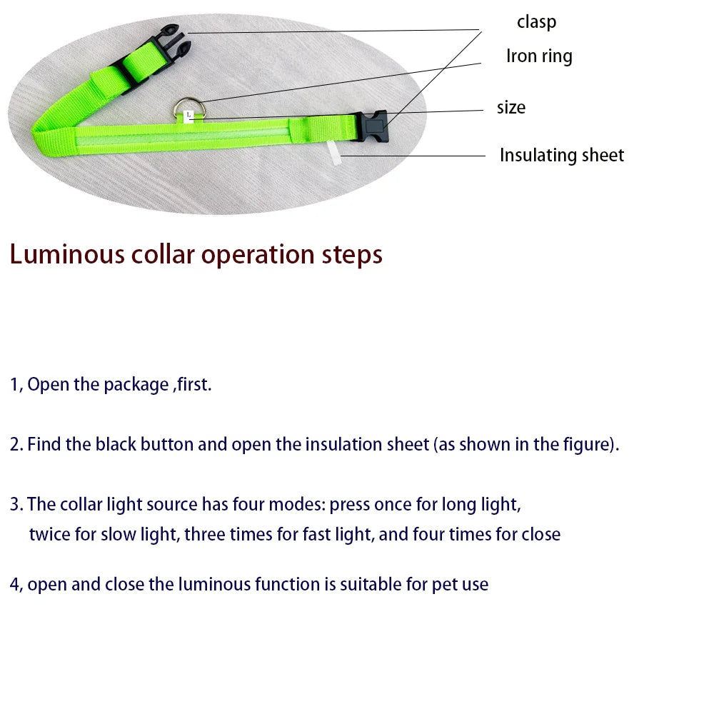 LED Dog Safety Collar — Rechargeable Night Visibility