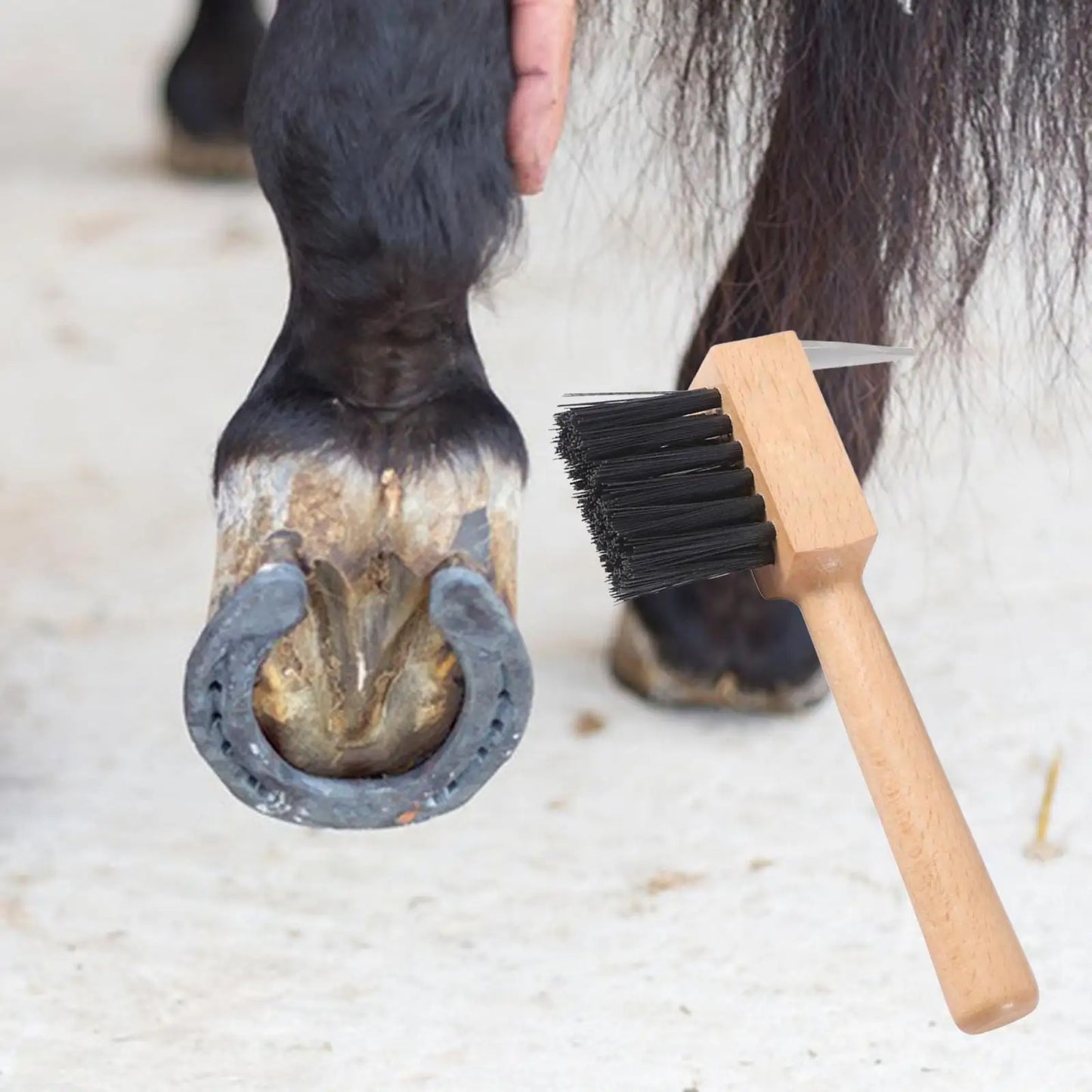 Horse Hoof Pick — Multipurpose Grooming Tool