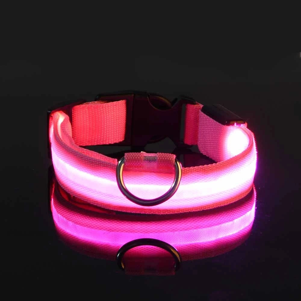 LED Dog Safety Collar — Rechargeable Night Visibility