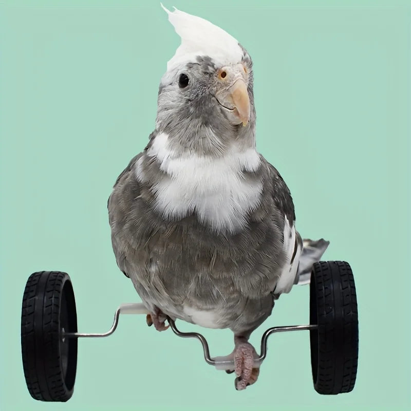 Parrot Balance Mini Bicycle Toy