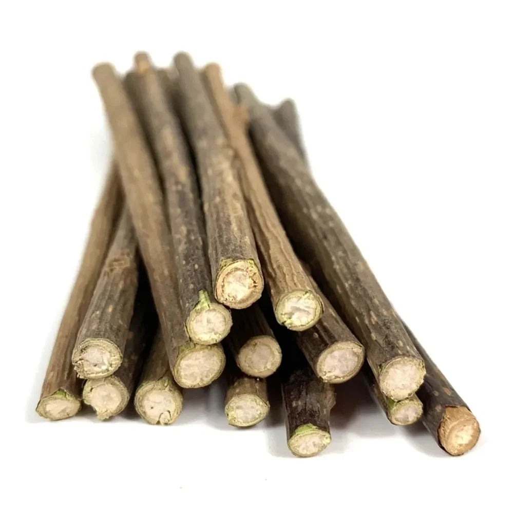 Catnip Toy Set — Matatabi Sticks and Plush Mice
