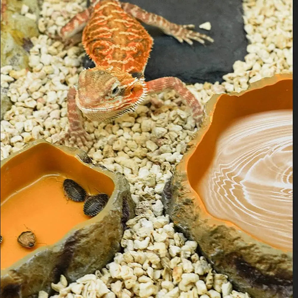 Reptile Rock Water Dish — Resin Worm Bowl for Lizards, Turtles & Snakes