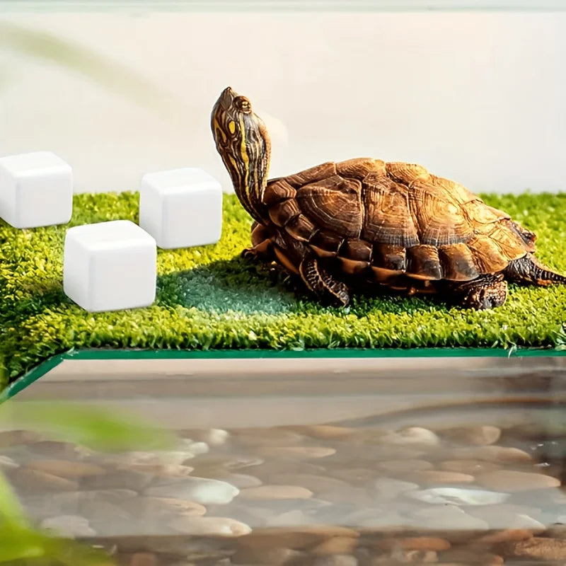 Reptile Calcium Mineral Blocks