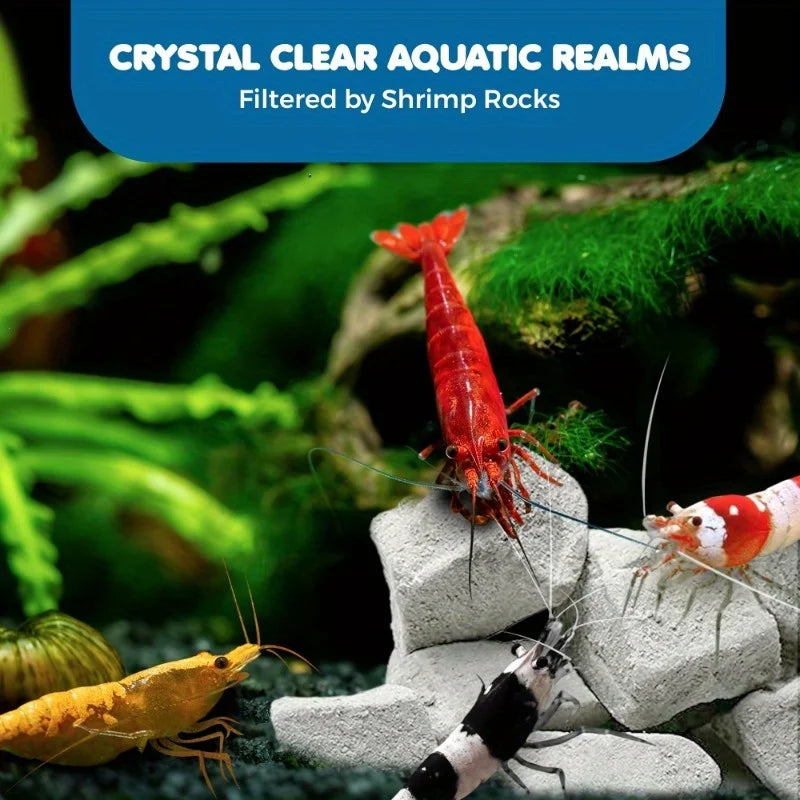 Shrimp Mineral Calcium Stone