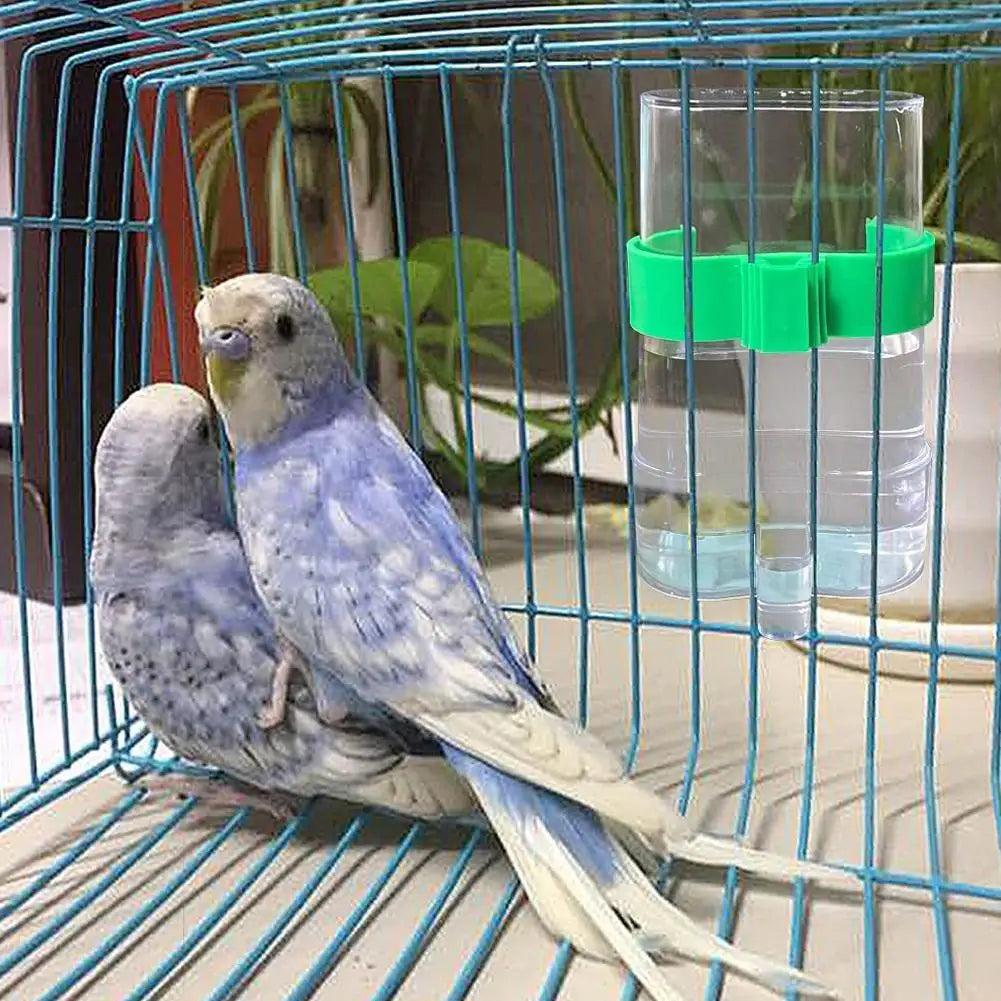Automatic Bird Water Dispenser