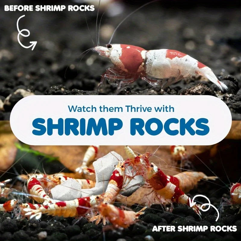 Shrimp Mineral Calcium Stone