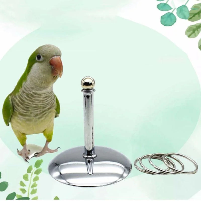 Bird Intelligence Training Ring Set