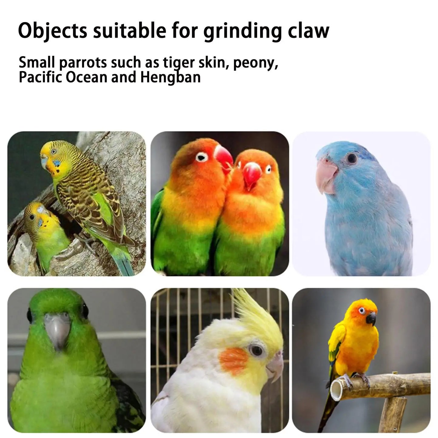 Bird Paw Grinding Perch — Natural Nail Trimmer