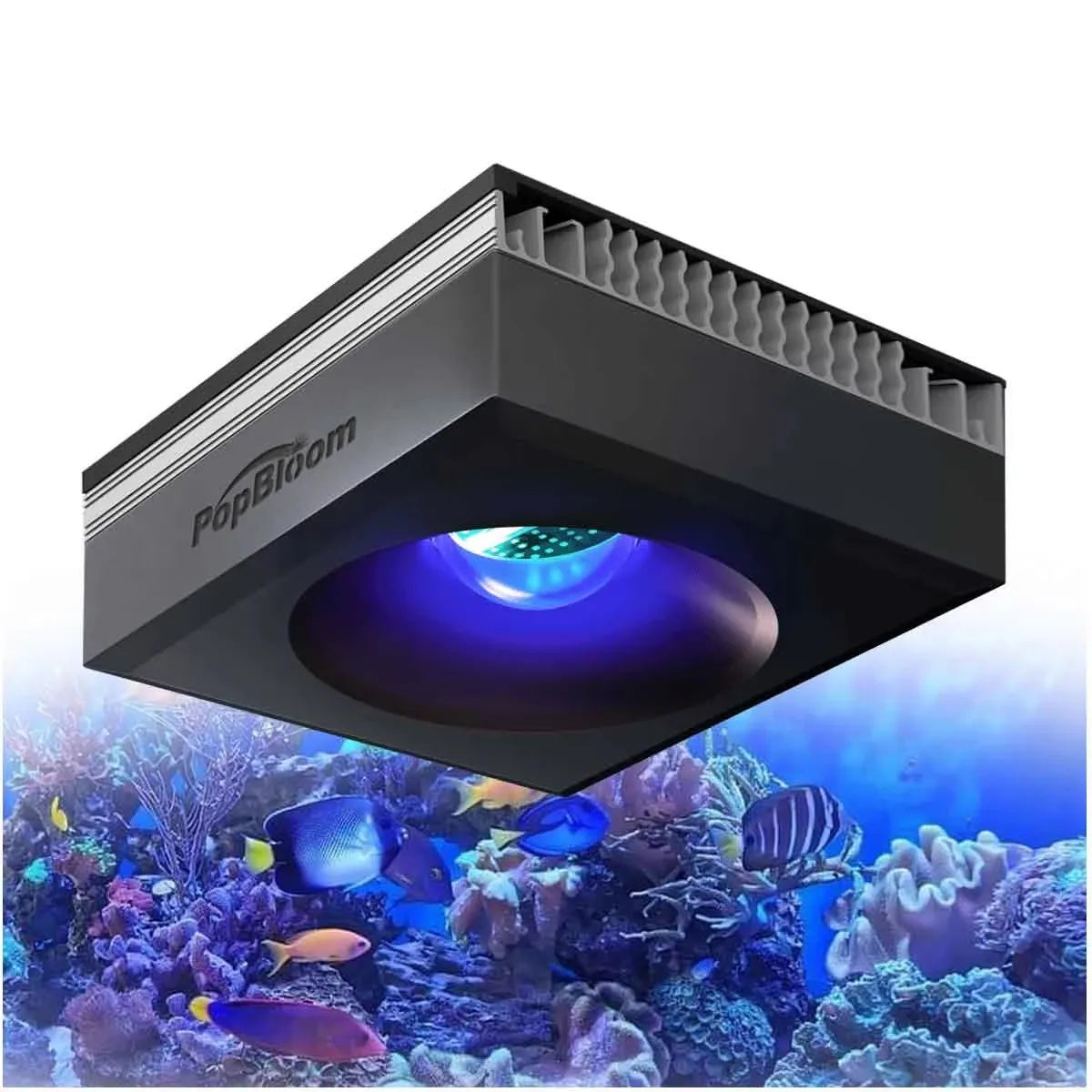 PopBloom RL90 100W WiFi Reef LED Light