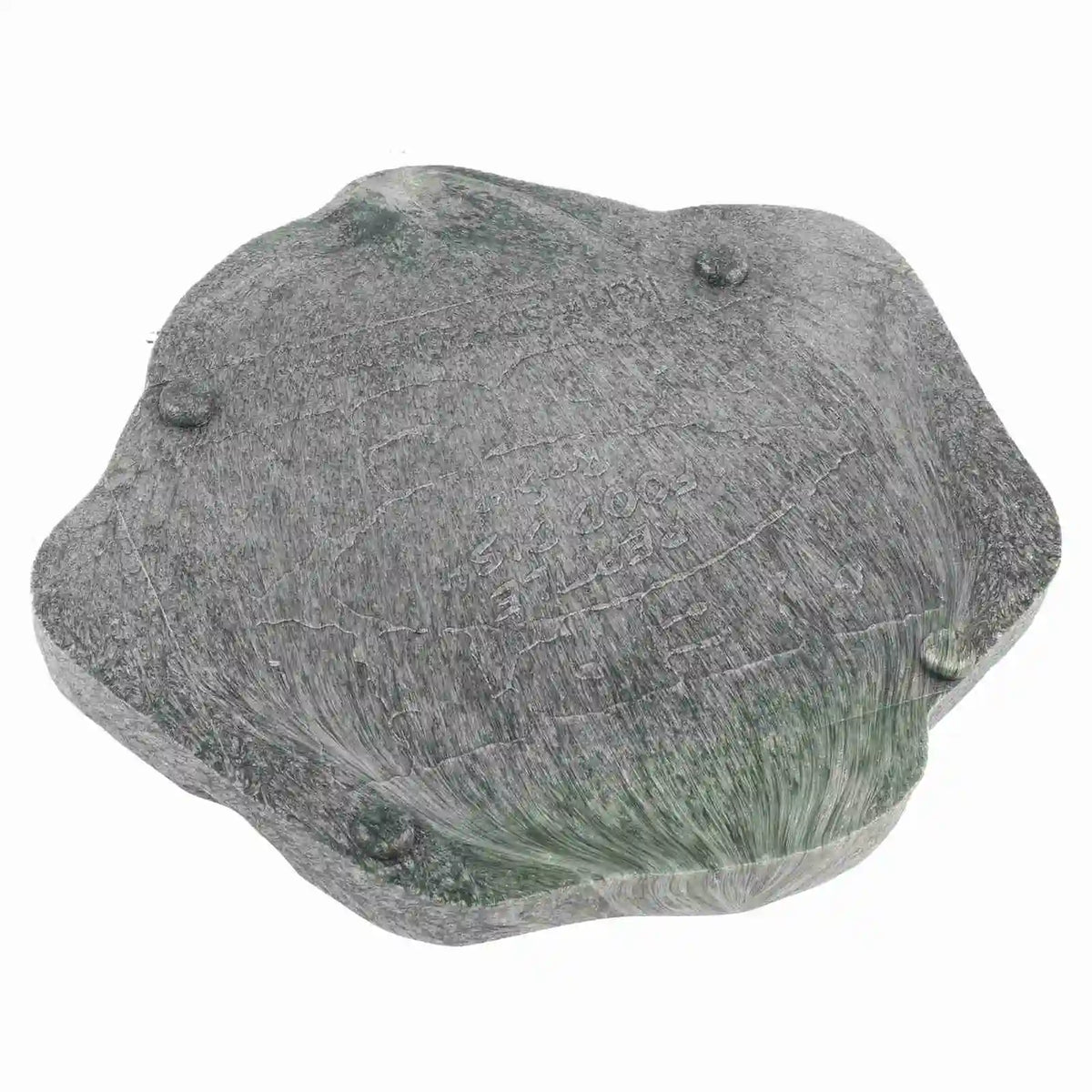 Reptile Rock Water Dish — Resin Feeder Bowl for Lizards & Tortoises