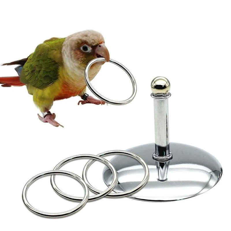Bird Intelligence Training Ring Set