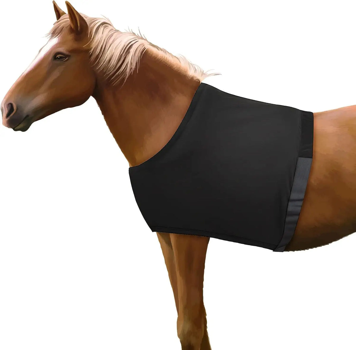Horse Chest Bibs