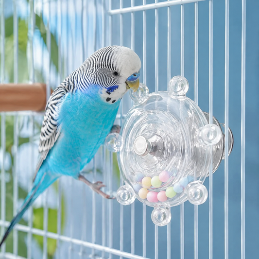 Parrot Foraging Wheel hero image