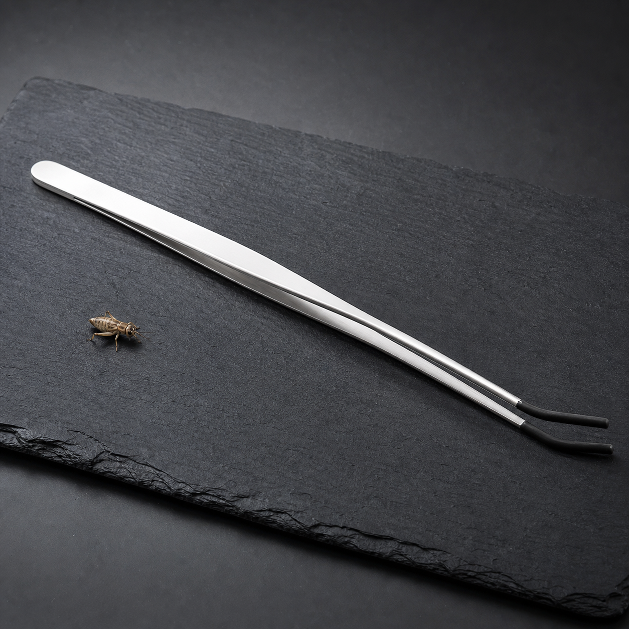 Reptile Feeding Tongs — Stainless Steel Long Tweezers